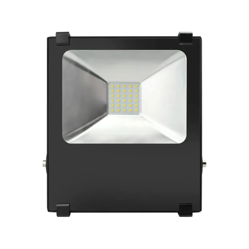 Philips Flood 30w